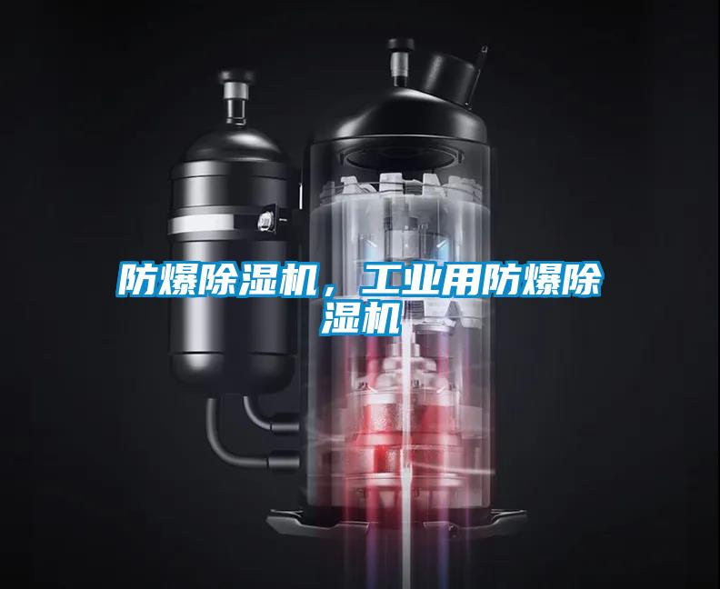 防爆除濕機，工業(yè)用防爆除濕機