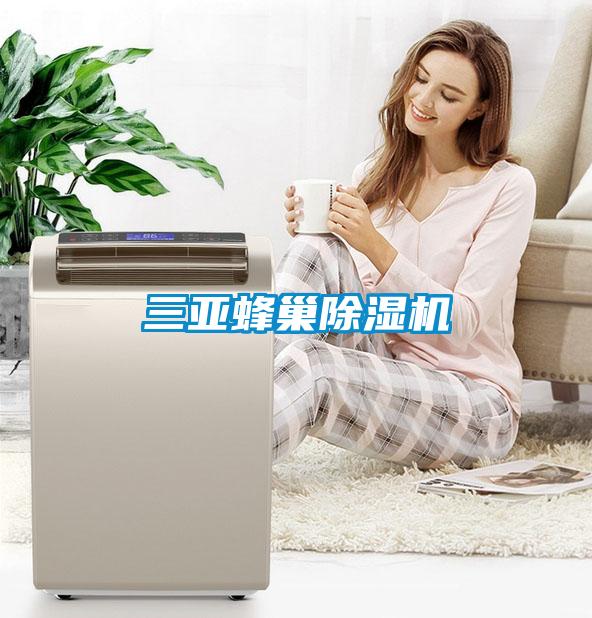 三亞蜂巢除濕機(jī)