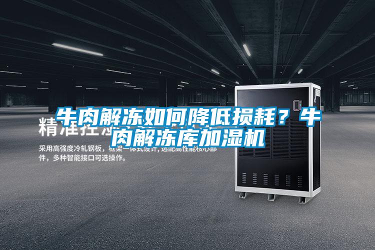 牛肉解凍如何降低損耗？牛肉解凍庫(kù)加濕機(jī)