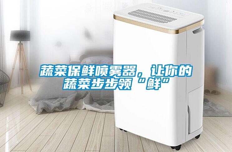 蔬菜保鮮噴霧器，讓你的蔬菜步步領(lǐng)“鮮”