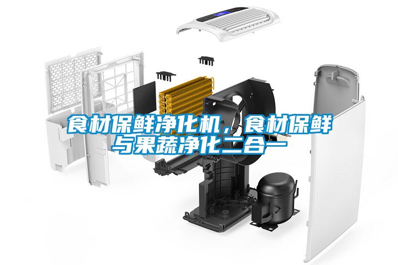 食材保鮮凈化機(jī)，食材保鮮與果蔬凈化二合一