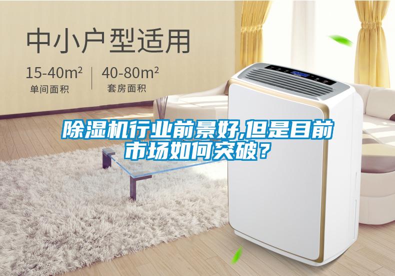 除濕機(jī)行業(yè)前景好,但是目前市場如何突破？