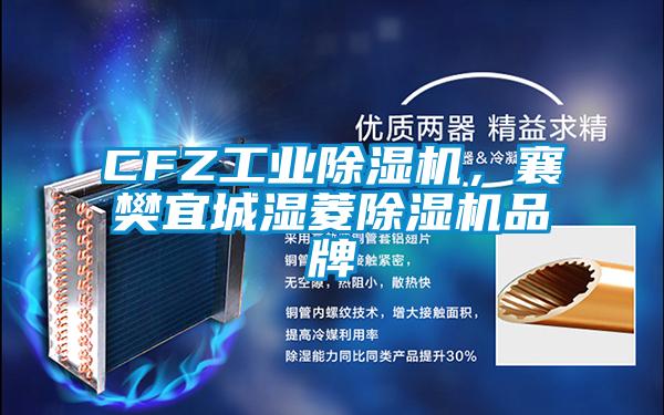 CFZ工業(yè)除濕機(jī)，襄樊宜城濕菱除濕機(jī)品牌