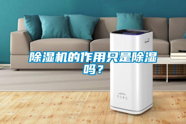 除濕機的作用只是除濕嗎？