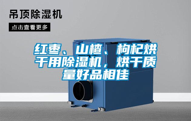 紅棗、山楂、枸杞烘干用除濕機(jī)，烘干質(zhì)量好品相佳