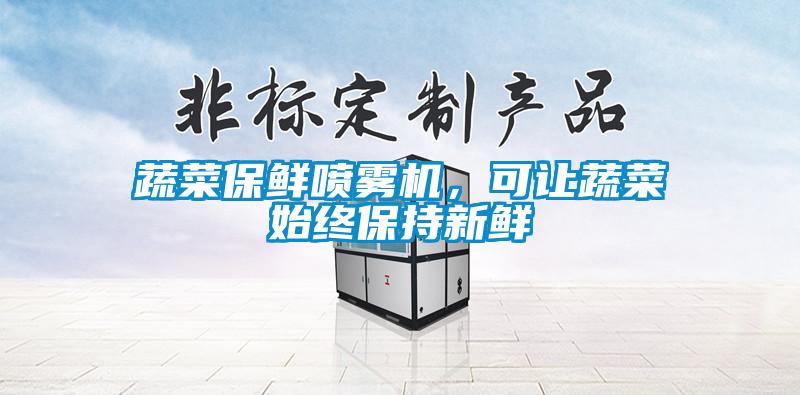 蔬菜保鮮噴霧機，可讓蔬菜始終保持新鮮