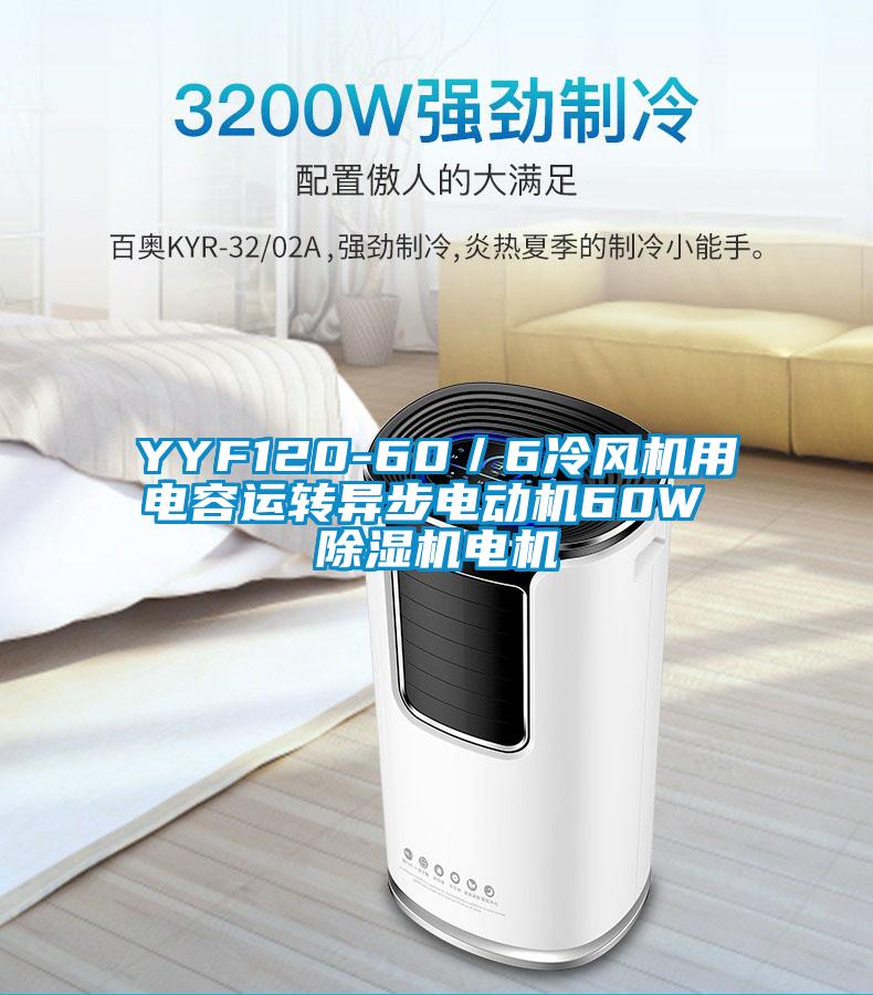 YYF120-60／6冷風機用電容運轉(zhuǎn)異步電動機60W 除濕機電機