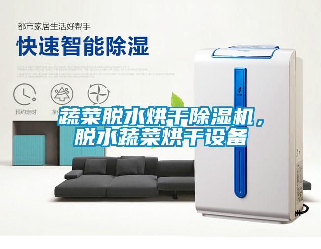 蔬菜脫水烘干除濕機，脫水蔬菜烘干設(shè)備