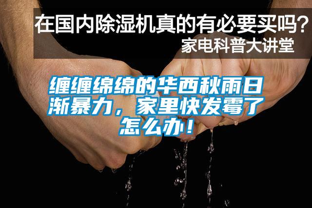 纏纏綿綿的華西秋雨日漸暴力，家里快發(fā)霉了怎么辦！