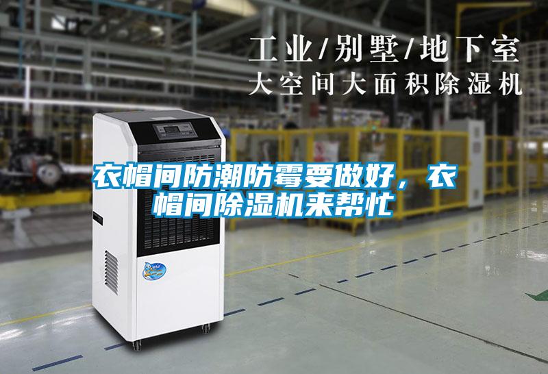 衣帽間防潮防霉要做好，衣帽間除濕機(jī)來幫忙