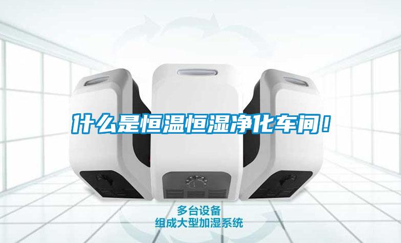 什么是恒溫恒濕凈化車間！