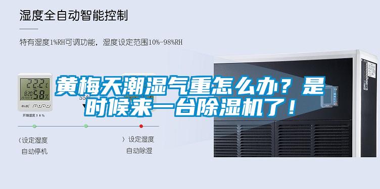 黃梅天潮濕氣重怎么辦？是時(shí)候來(lái)一臺(tái)除濕機(jī)了！