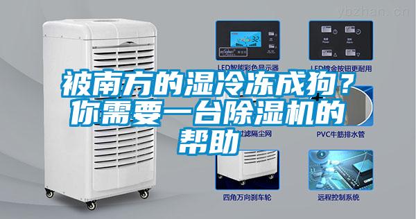 被南方的濕冷凍成狗？你需要一臺(tái)除濕機(jī)的幫助