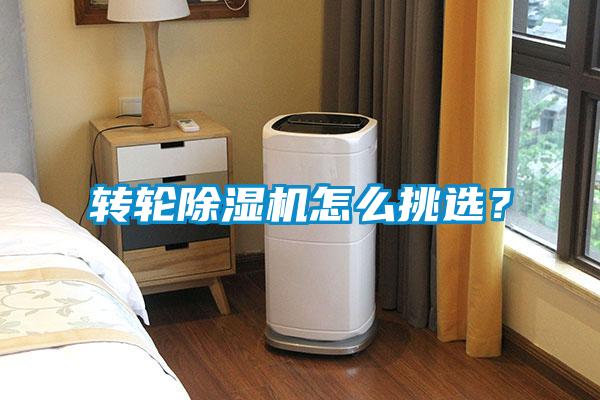 轉(zhuǎn)輪除濕機怎么挑選？