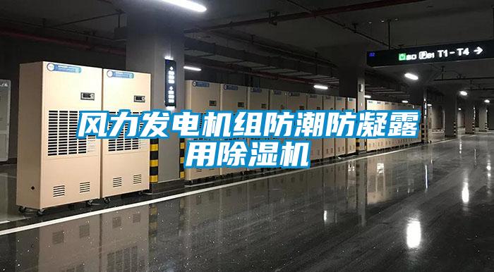 風(fēng)力發(fā)電機組防潮防凝露用除濕機