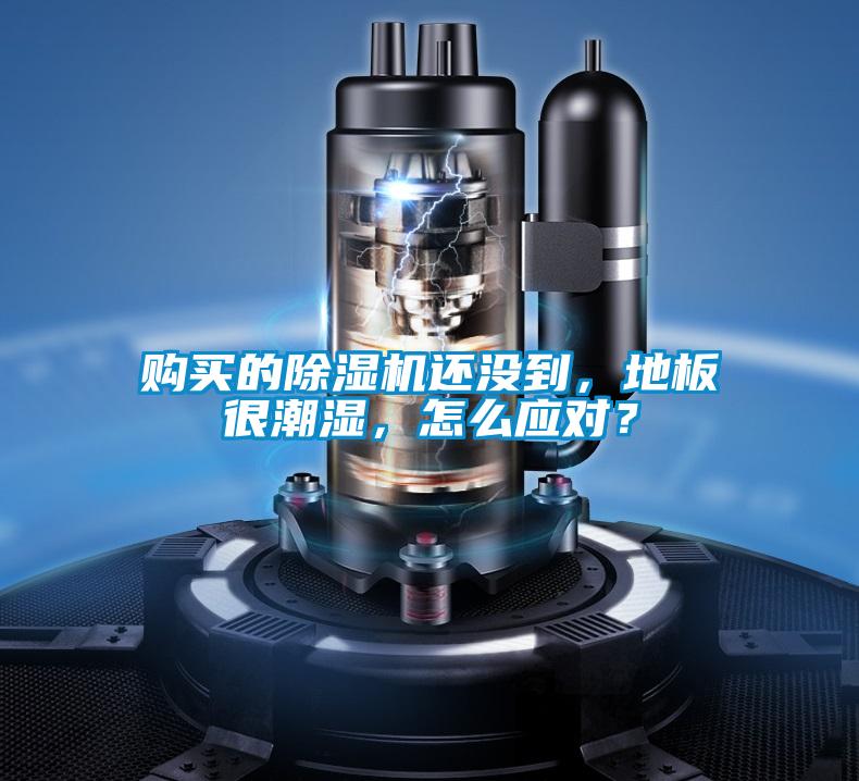 購(gòu)買的除濕機(jī)還沒到，地板很潮濕，怎么應(yīng)對(duì)？