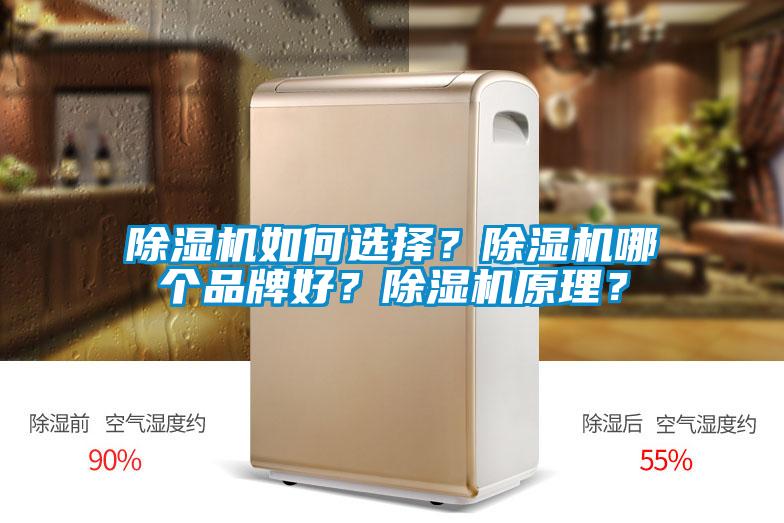 除濕機如何選擇？除濕機哪個品牌好？除濕機原理？
