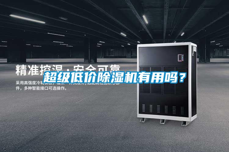 超級(jí)低價(jià)除濕機(jī)有用嗎？