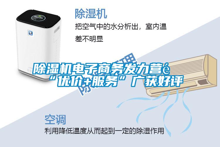 除濕機(jī)電子商務(wù)發(fā)力營銷“優(yōu)價(jià)+服務(wù)”廣獲好評(píng)
