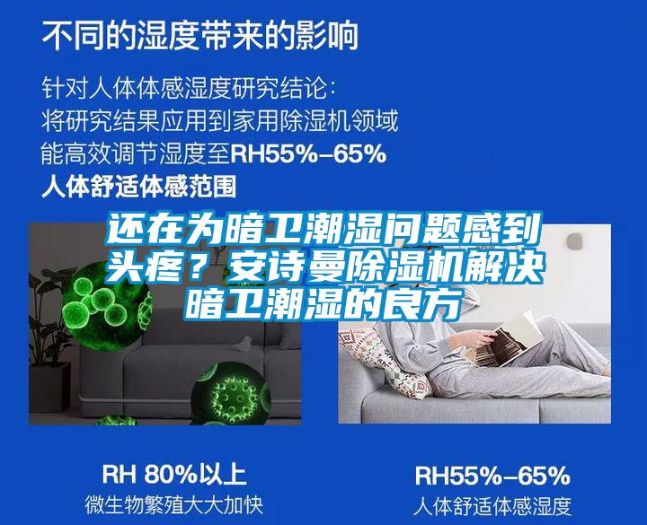 還在為暗衛(wèi)潮濕問(wèn)題感到頭疼？安詩(shī)曼除濕機(jī)解決暗衛(wèi)潮濕的良方