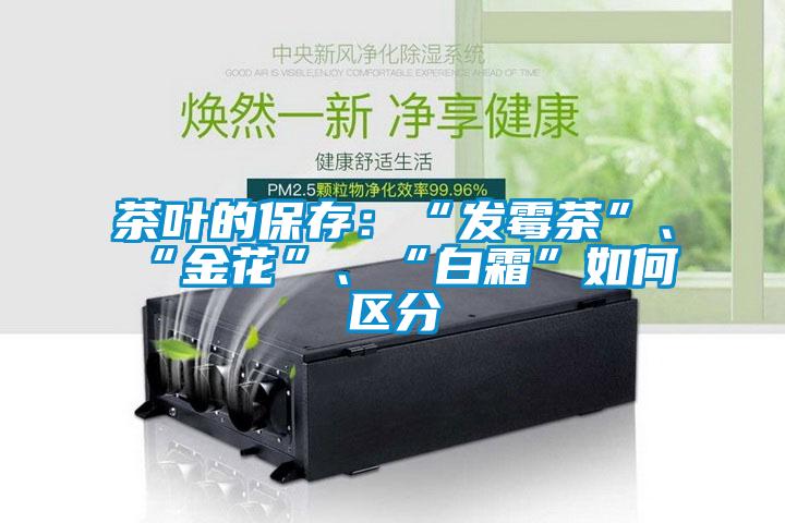 茶葉的保存：“發(fā)霉茶”、“金花”、“白霜”如何區(qū)分