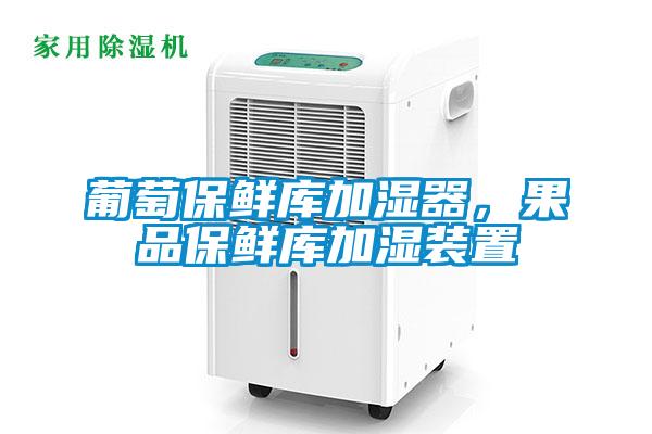葡萄保鮮庫(kù)加濕器，果品保鮮庫(kù)加濕裝置