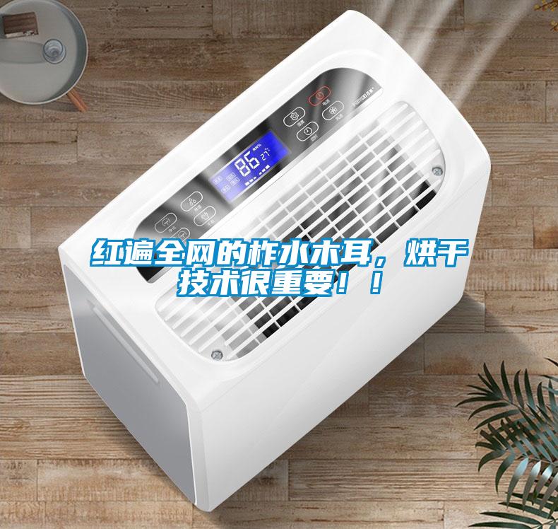 紅遍全網(wǎng)的柞水木耳，烘干技術(shù)很重要?。?/></p>
						    <p style=