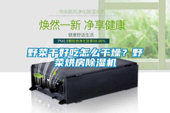 野菜干好吃怎么干燥？野菜烘房除濕機(jī)
