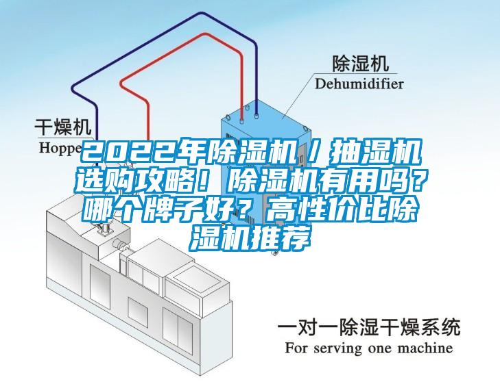 2022年除濕機／抽濕機選購攻略！除濕機有用嗎？哪個牌子好？高性價比除濕機推薦