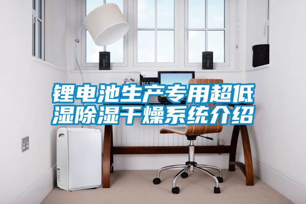 鋰電池生產(chǎn)專(zhuān)用超低濕除濕干燥系統(tǒng)介紹