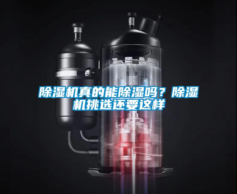 除濕機真的能除濕嗎？除濕機挑選還要這樣