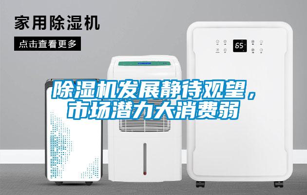 除濕機(jī)發(fā)展靜待觀望，市場潛力大消費(fèi)弱
