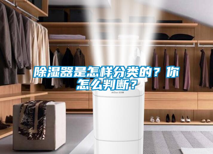 除濕器是怎樣分類的？你怎么判斷？