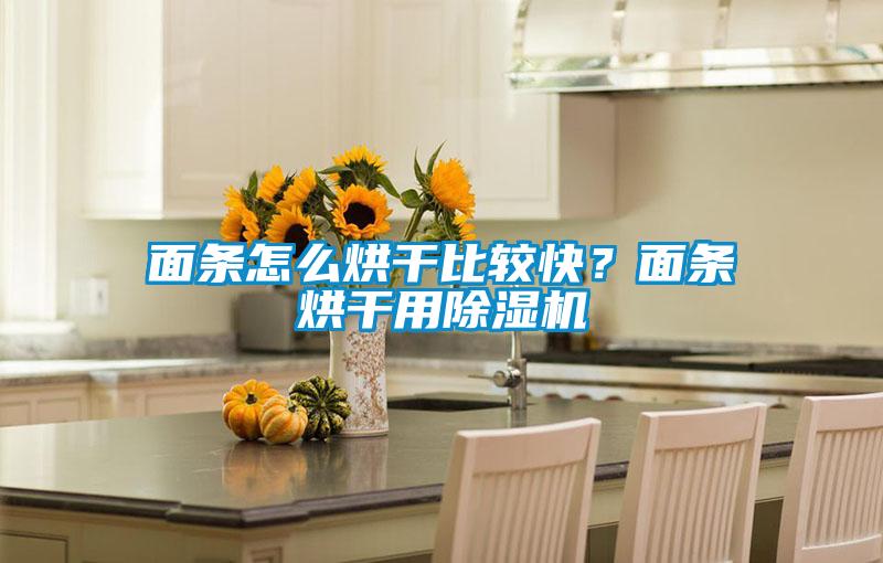 面條怎么烘干比較快？面條烘干用除濕機(jī)