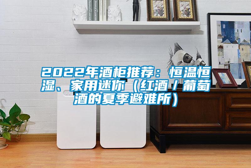 2022年酒柜推薦：恒溫恒濕、家用迷你（紅酒／葡萄酒的夏季避難所）
