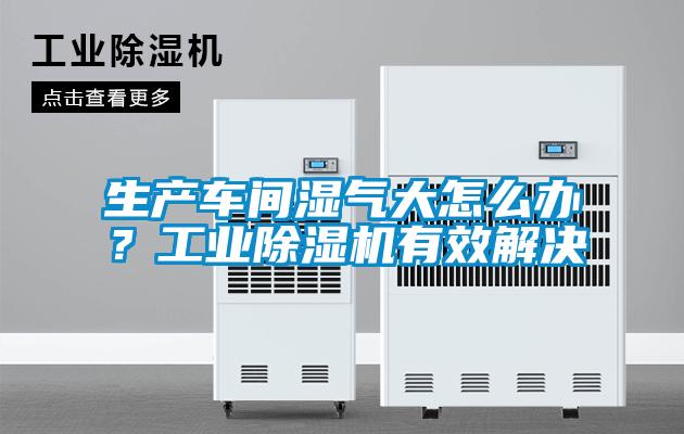 生產(chǎn)車間濕氣大怎么辦？工業(yè)除濕機有效解決