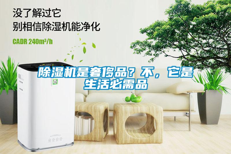 除濕機是奢侈品？不，它是生活必需品
