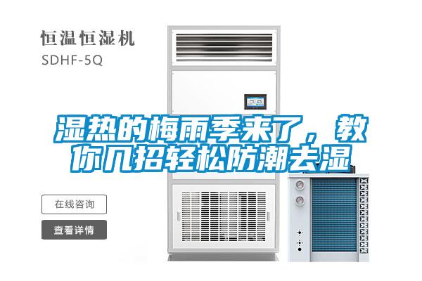 濕熱的梅雨季來了，教你幾招輕松防潮去濕
