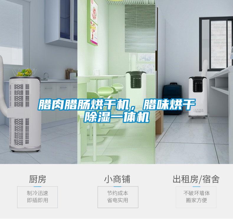 臘肉臘腸烘干機(jī)，臘味烘干除濕一體機(jī)