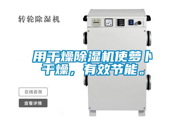 用干燥除濕機(jī)使蘿卜干燥，有效節(jié)能。