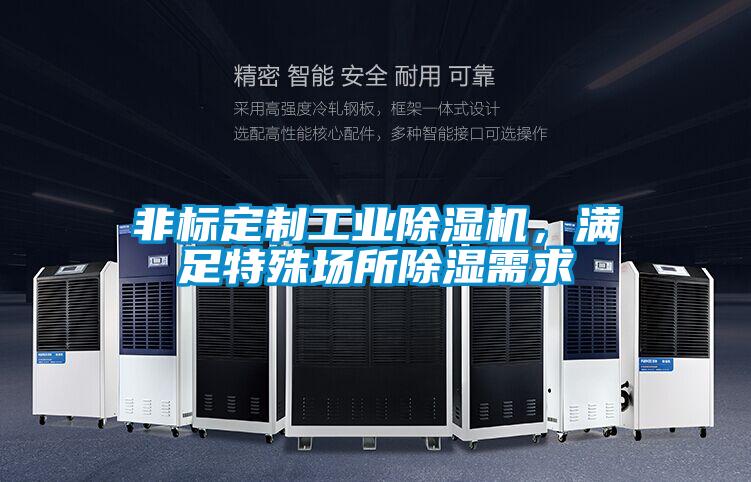 非標定制工業(yè)除濕機，滿足特殊場所除濕需求