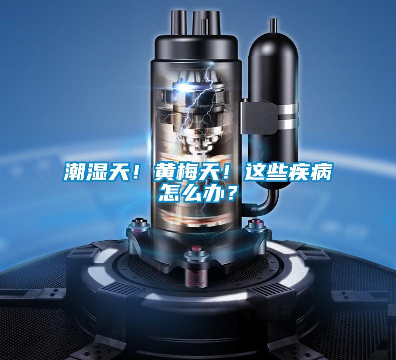 潮濕天！黃梅天！這些疾病怎么辦？