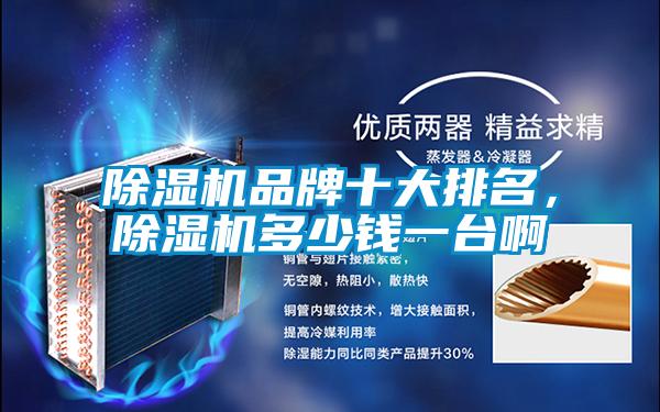 除濕機(jī)品牌十大排名，除濕機(jī)多少錢一臺(tái)啊