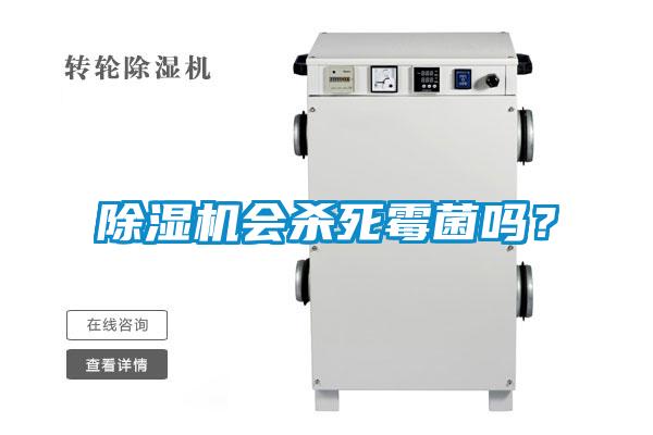 除濕機會殺死霉菌嗎？
