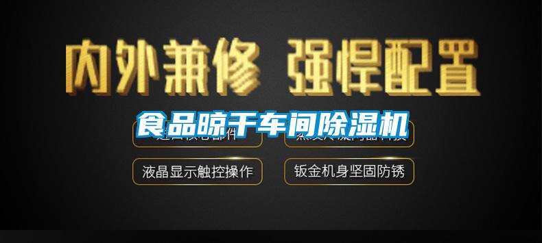 食品晾干車(chē)間除濕機(jī)
