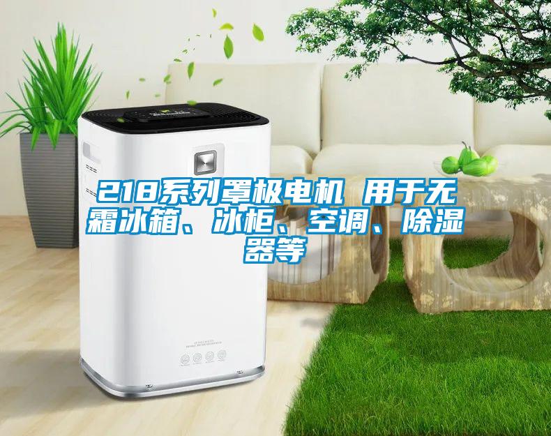 218系列罩極電機(jī) 用于無(wú)霜冰箱、冰柜、空調(diào)、除濕器等