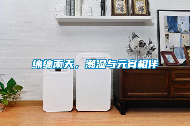 綿綿雨天，潮濕與元宵相伴