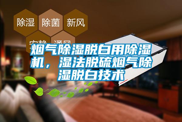 煙氣除濕脫白用除濕機，濕法脫硫煙氣除濕脫白技術