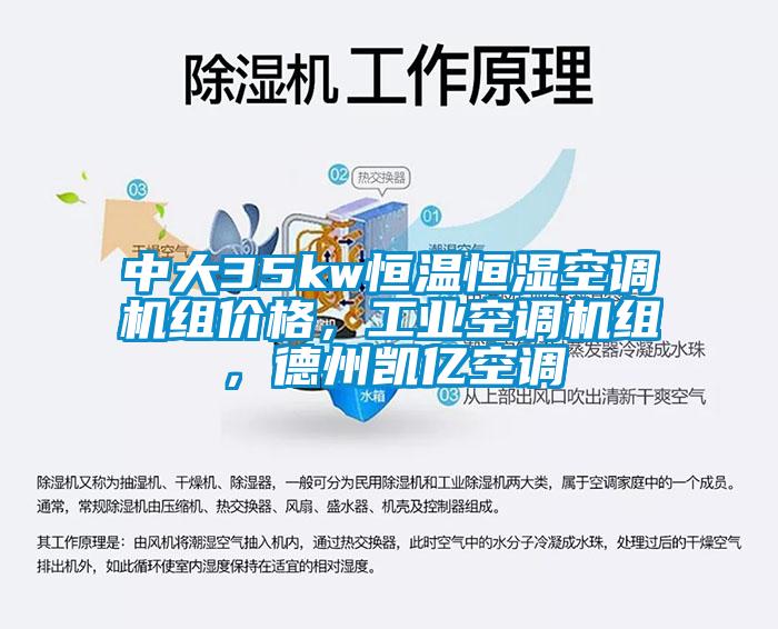 中大35kw恒溫恒濕空調(diào)機(jī)組價(jià)格，工業(yè)空調(diào)機(jī)組，德州凱億空調(diào)