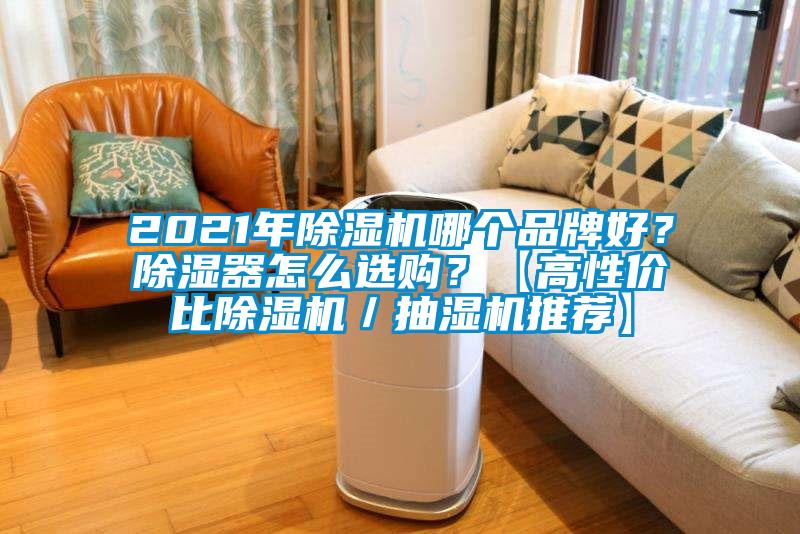 2021年除濕機哪個品牌好？除濕器怎么選購？【高性價比除濕機／抽濕機推薦】